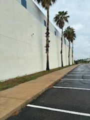 White painted commercial building exterior with mulch landscaping and palm trees